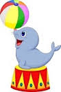 circus_zeehondje